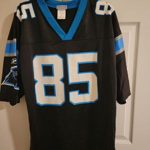 Football jersey Carolina Panthers #85 Wesley Walls